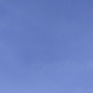 Meet your Posher, Alan